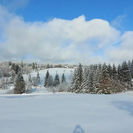 Holl Und Boll Am Hexenstieg. 3*