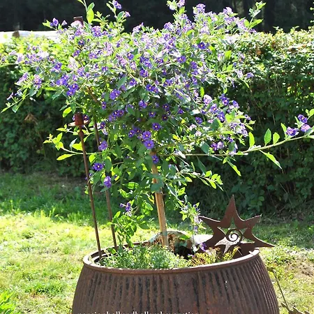 Konukevi Holl Und Boll Am Hexenstieg. Clausthal-Zellerfeld